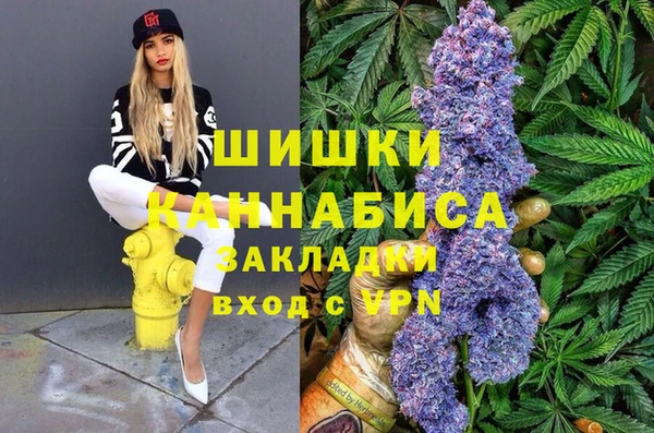 гидра Пролетарск