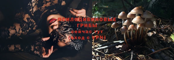 a pvp Протвино