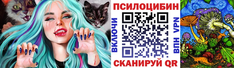 Галлюциногенные грибы Magic Shrooms  Купить  Морозовск 